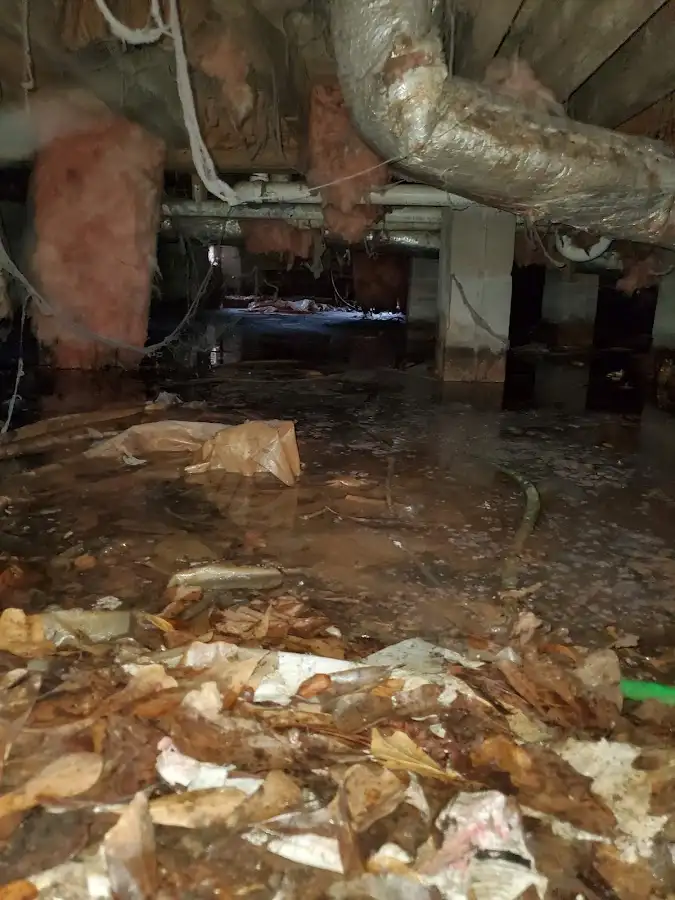 Crawl space flood assessment for Leak Detection & Repair in Parsons